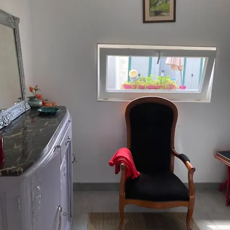 Apartment Garden And Serenity, Near Eurexpo And Groupamastadium Saint-Priest (Rhone)