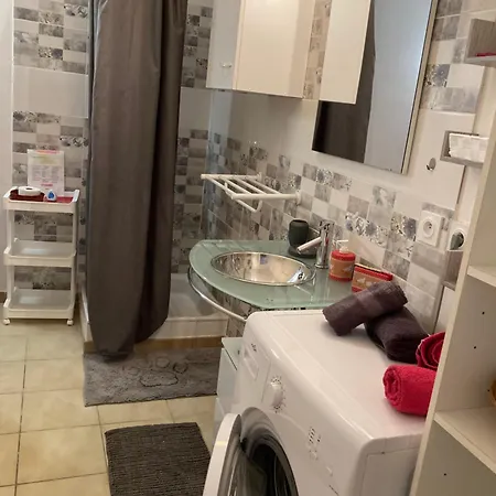 Apartment Garden And Serenity, Near Eurexpo And Groupamastadium *