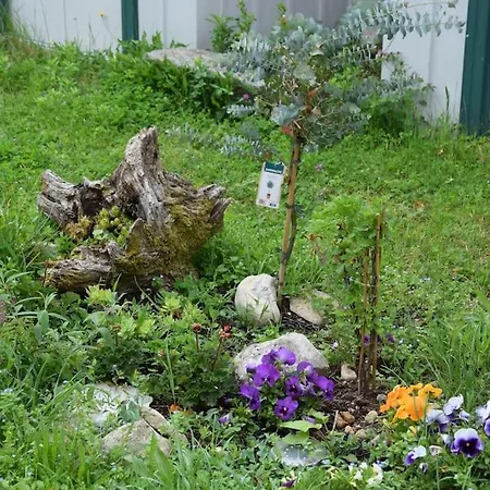 Garden And Serenity, Near Eurexpo And Groupamastadium *