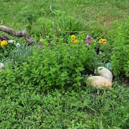 Garden And Serenity, Near Eurexpo And Groupamastadium