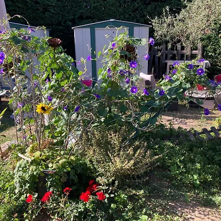 Garden And Serenity, Near Eurexpo And Groupamastadium * Saint-Priest (Rhone)